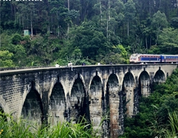 Aluthgama to Ella Day Tour