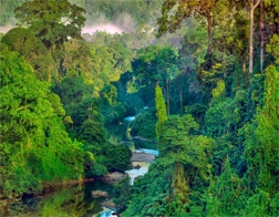 Aluthgama to Sinharaja Rainforest Day Tour