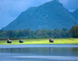 Aluthgama to Udawalawe National Park Day Tour