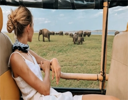 Aluthgama to Yala National Park & Ella Day Tour