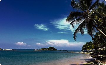 Trebartha East The Round House