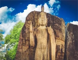 Anuradhapura to Kala Wewa & Aukana Buddha Statue Tour