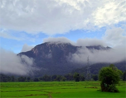 Anuradhapura to Ritigala Forest Monastery Tour