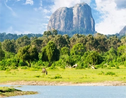 Beruwala to Ella Day Tour