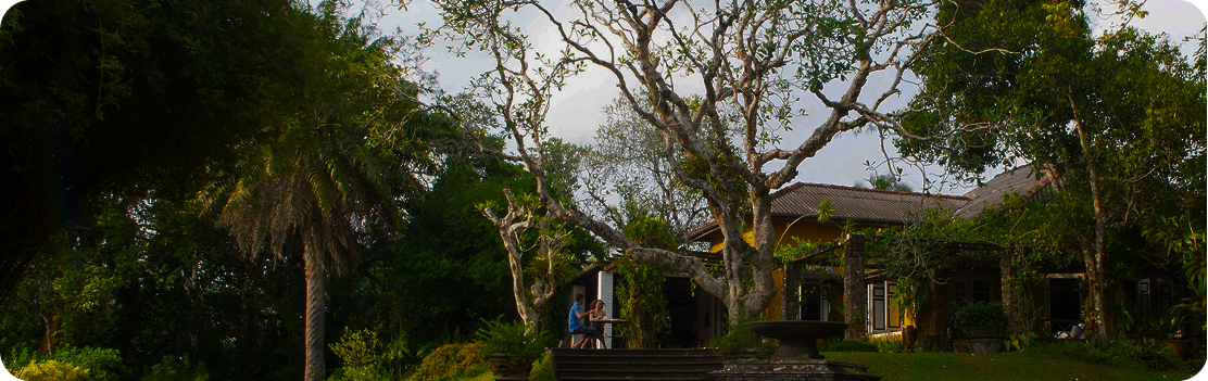 Brief Garden by Bevis Bawa