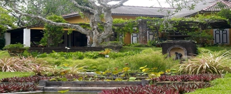 Brief Garden by Bevis Bawa