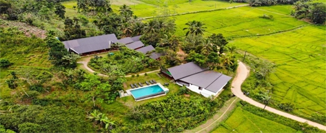 Cinnamon Plantations & Village Life