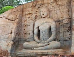 Dambulla to Polonnaruwa Day Tour