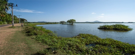 Debarawewa Wetlands