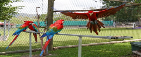 Eco Park & Bird Watching Trails