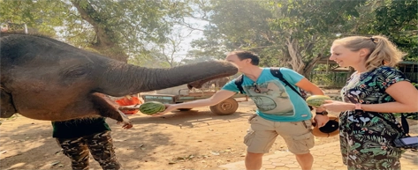 Elephant Transit Home