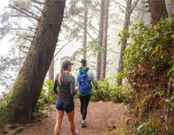 Galle to Sinharaja Rainforest Tour