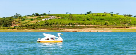 Gregory Lake