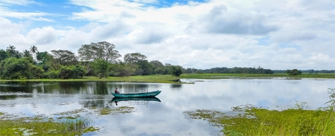 Habarana Village Experience
