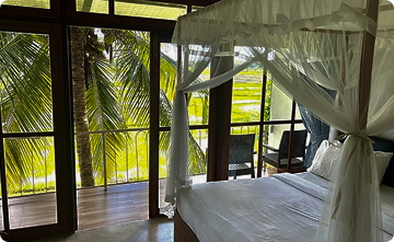 Heaven Upon Rice Fields