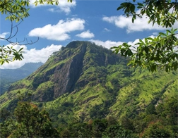 Hikkaduwa to Ella Day Tour