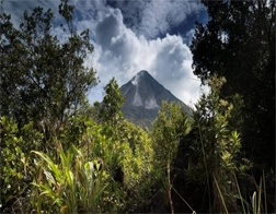 Hikkaduwa to Sinharaja Rainforest Tour