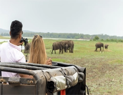Hikkaduwa to Udawalawe National Park Day Tour