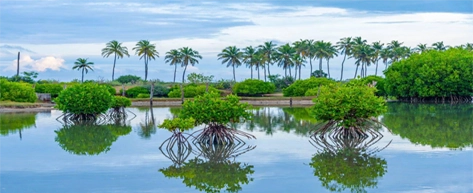 Kalpitiya Lagoon
