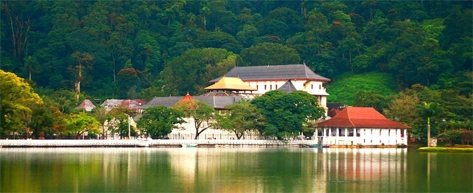 Madu River Boat Safari – Balapitiya