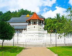 Kandy to Temple of the Tooth Day Tour