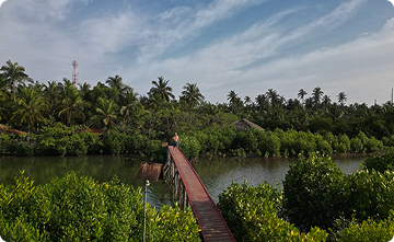 Trebartha East The Round House