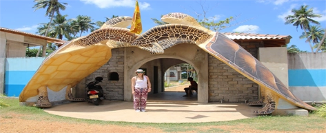 Kosgoda Sea Turtle Hatchery (Optional Stop)