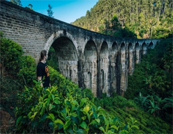 Kosgoda to Ella Day Tour