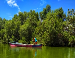 Kosgoda to Galle Fort and Madu River Day Tour