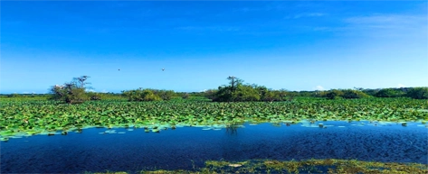 Kumana Wetlands