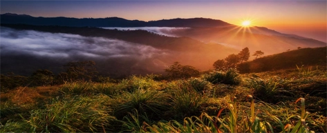 Tea Plantations & Factories