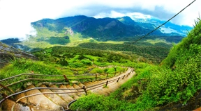 Little England Day Tour