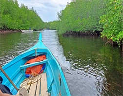 Madiha to Galle Fort and Madu River Day Tour