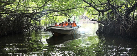 Madu River Boat Safari – Balapitiya
