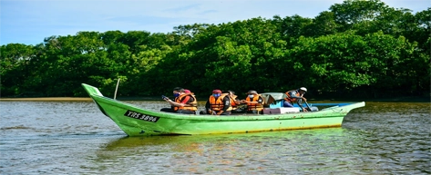 Madu River Boat Safari (Balapitiya)
