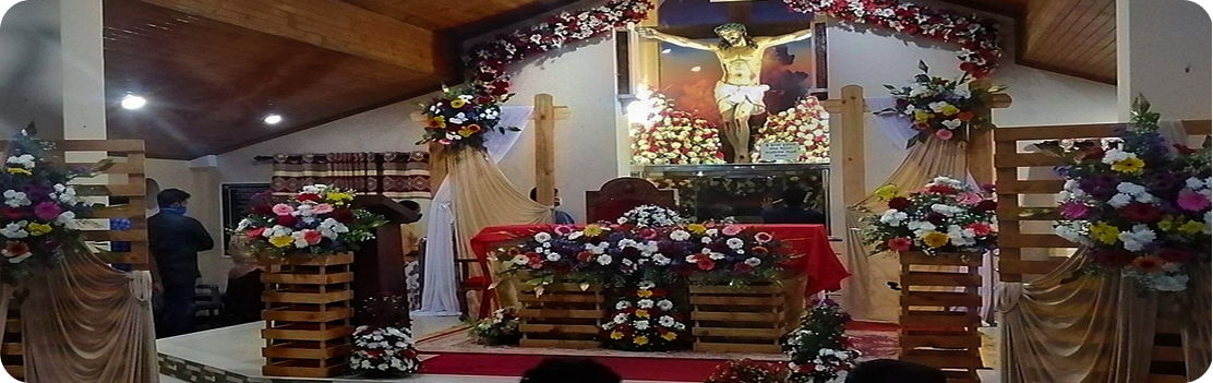 Marawila Kurusa Church (Holy Cross National Shrine)