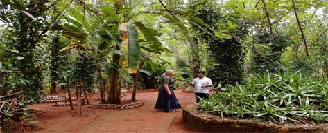 Matale Spice Garden