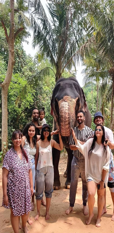 Elephant