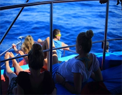 Mirissa to Whale Watching & Coconut Tree Hill Day Tour