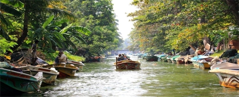 Muthurajawela Marsh Boat Safari