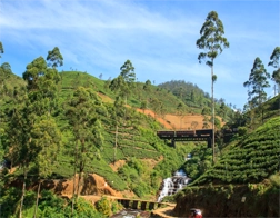 Nuwara Eliya to Ella