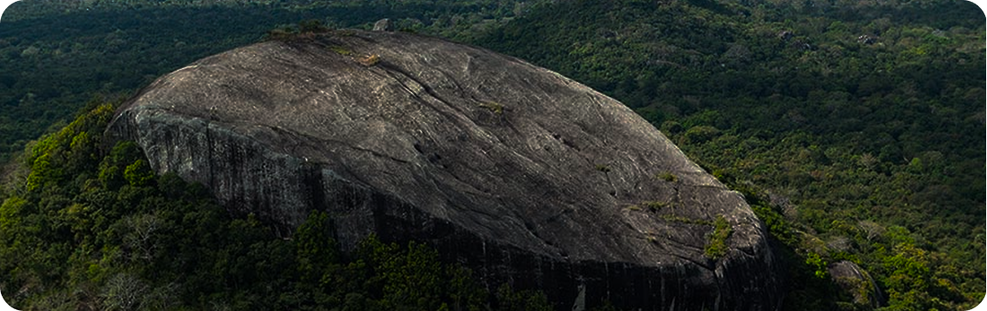 Pidurangala Rock