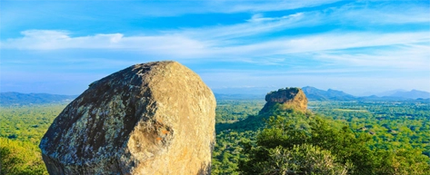 Pidurangala Rock