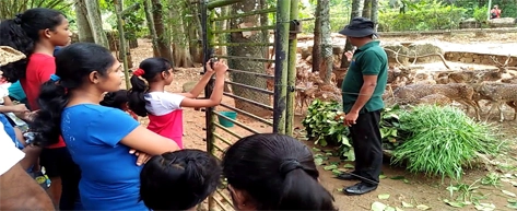 Pinnawala Open Zoo