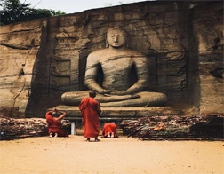 Polonnaruwa to Minneriya or Kaudulla Day Tour