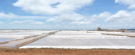 Puttalam Salt Pans