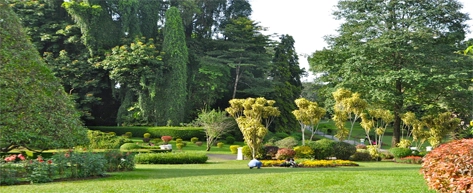 Royal Botanical Gardens – Peradeniya