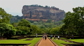 Sigiriya & Dambulla Day Tour