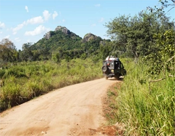 Sigiriya to Minneriya, Kaudulla, or Hurulu Eco Park Day Tour