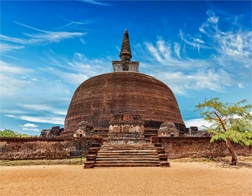 Sigiriya to Polonnaruwa Day Tour